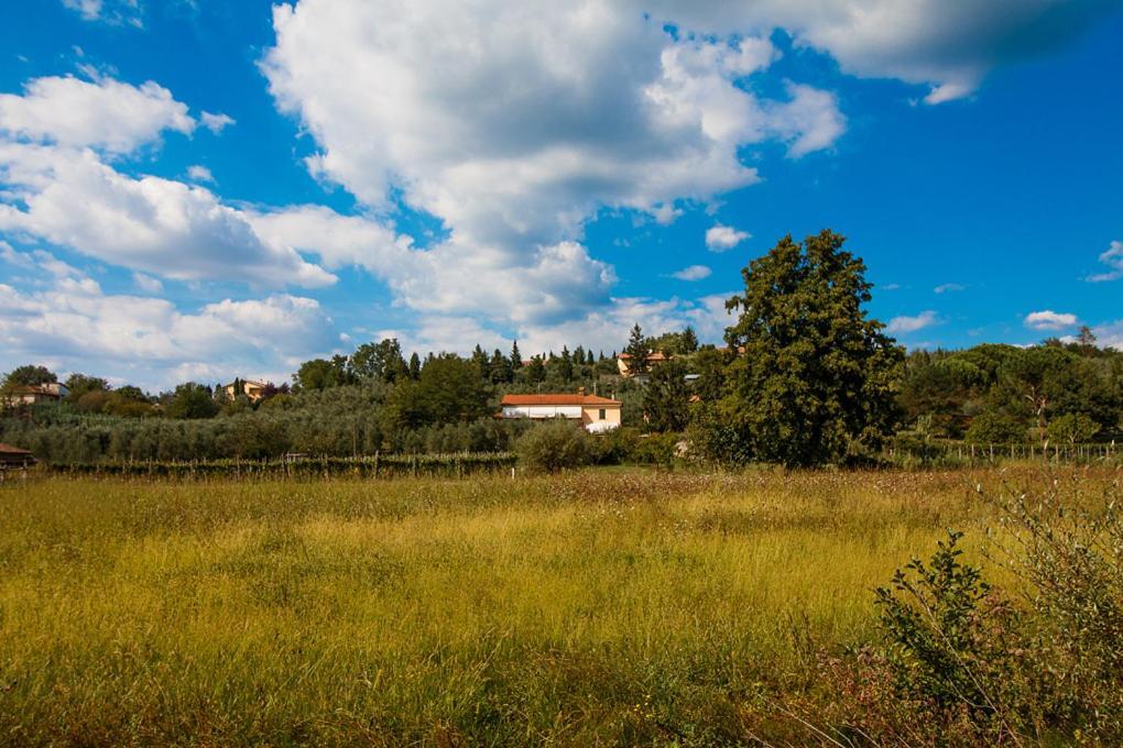 芬奇Agriturismo Terre Di Leonardo住宿加早餐旅馆 外观 照片