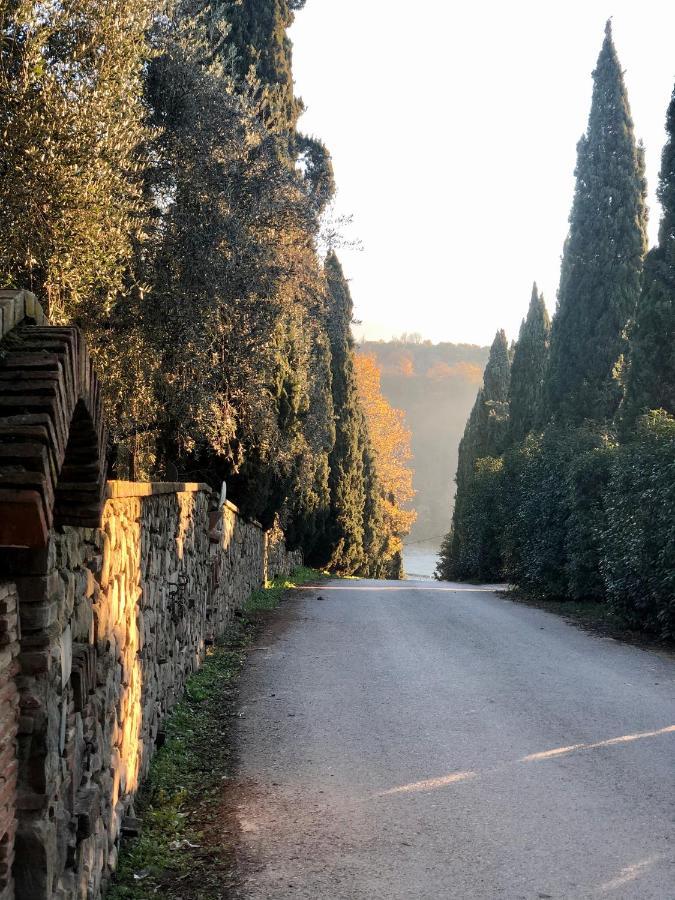 芬奇Agriturismo Terre Di Leonardo住宿加早餐旅馆 外观 照片