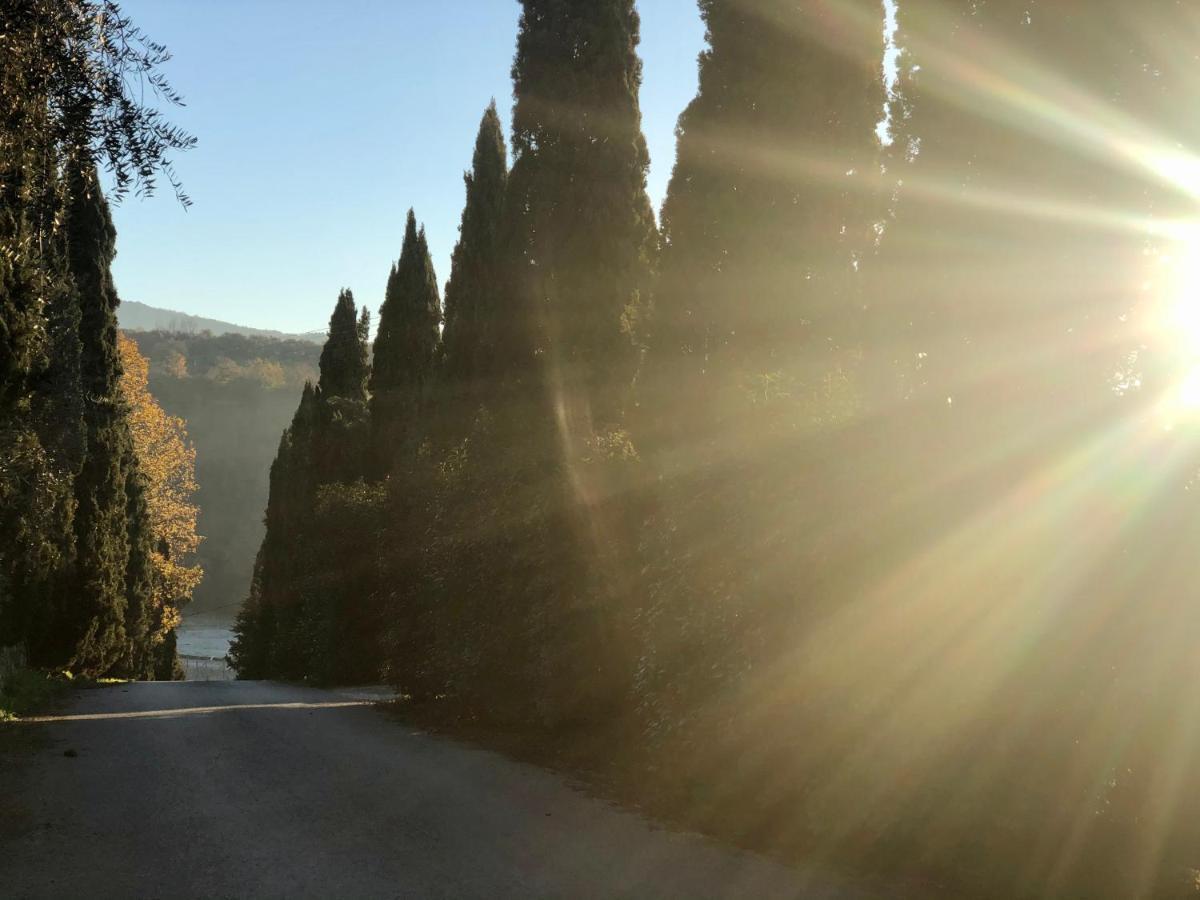 芬奇Agriturismo Terre Di Leonardo住宿加早餐旅馆 外观 照片